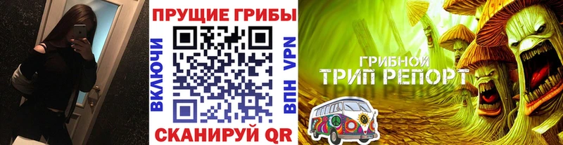 Псилоцибиновые грибы MAGIC MUSHROOMS  мега ссылка  Нестеров  наркошоп 