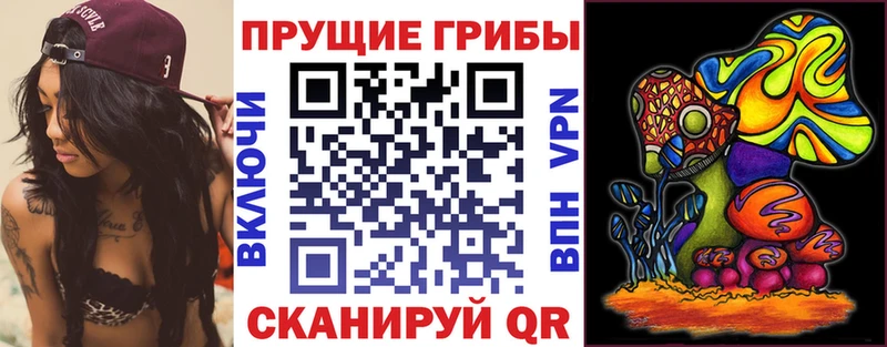 Галлюциногенные грибы Psilocybe Нестеров