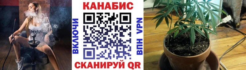 МАРИХУАНА MAZAR  купить наркотик  Нестеров 